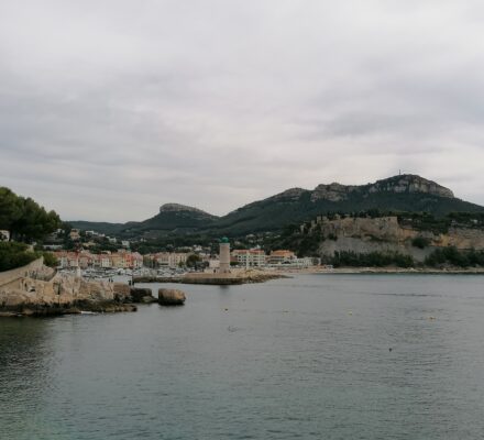 Port Miou, Cassis et les dauphins